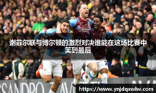 谢菲尔联与博尔顿的激烈对决谁能在这场比赛中笑到最后